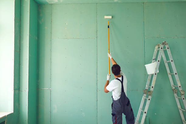 Best Attic Mold Removal  in White House, TN