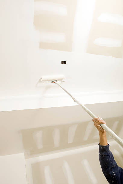 Reliable White House, TN Mold Removal Solutions
