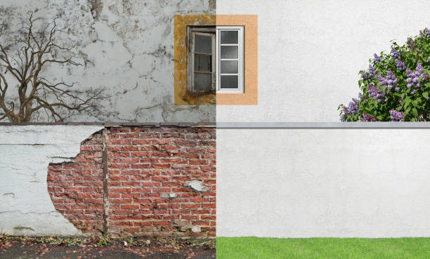 Best Commercial Mold Inspection  in White House, TN