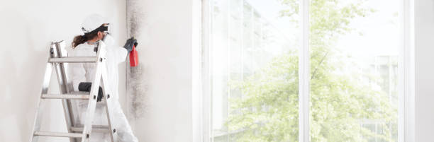 Best Real Estate Mold Inspection  in White House, TN